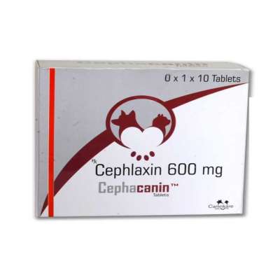 Cephalexin Profile Picture