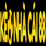 Kèo nhà cái 88 Profile Picture