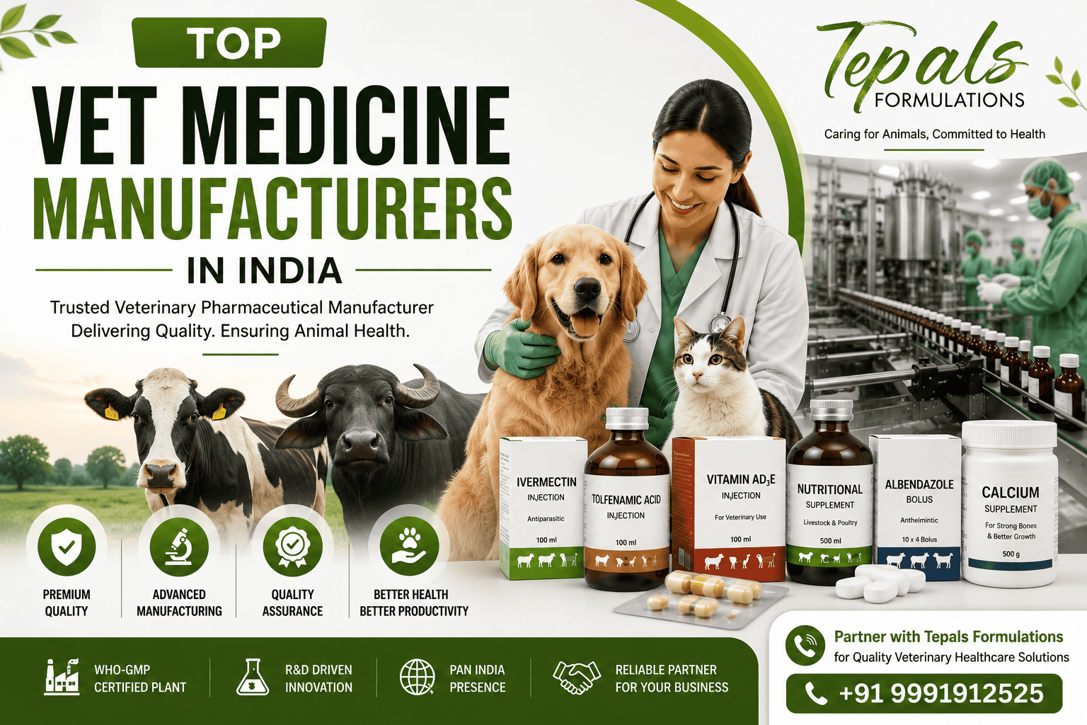 Top Veterinary Medicine Manufacturers in India