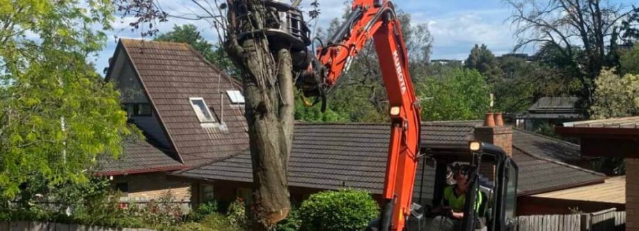 Next Step Tree Removals Cover Image