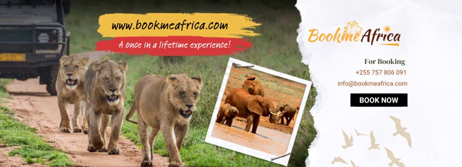 Book Me Africa Cover Image