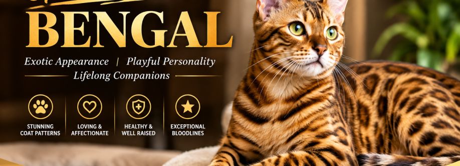 Aristocat Bengal Cover Image