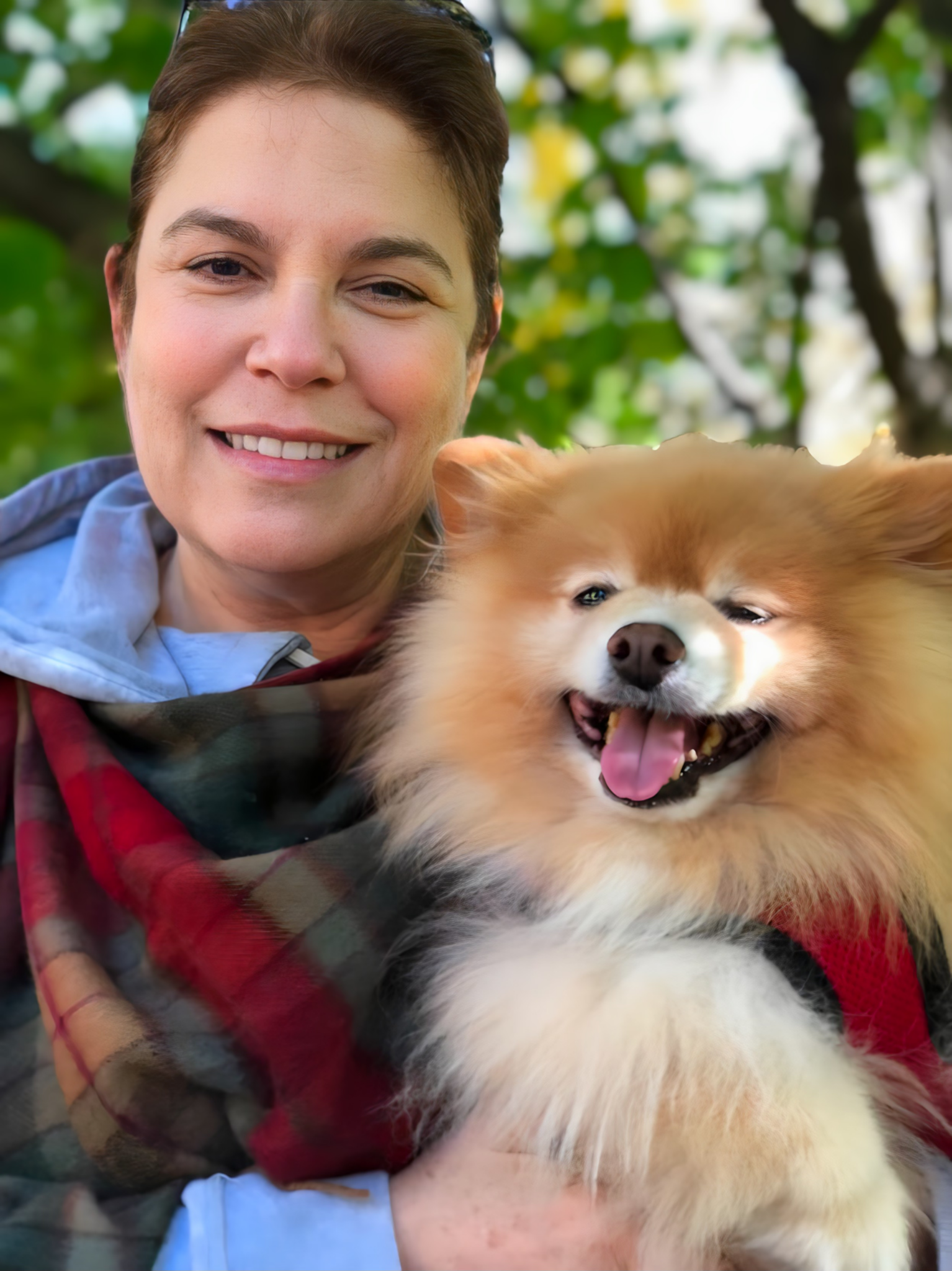 Dogs for Adoption in Texas | Rescue Dogs Ready for a Forever Home